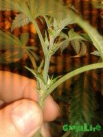 20150713_123205.jpg