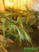 20150713_123301.jpg