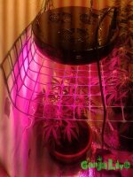20150713_131534.jpg