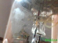 IMG_20150713_092409.jpg