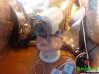 DSC00001.JPG