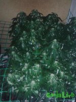 20150716_000657.jpg