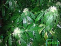 20150716_000721.jpg