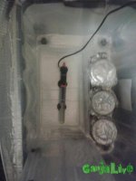 Инкубатор 5.jpg