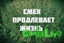 загруженное (1).jpg