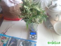 DSC00002.JPG