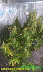 IMAG0325.jpg
