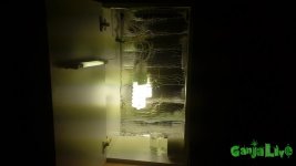 20150717_222613.jpg