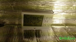 20150717_222658.jpg