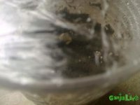 14072015331.jpg