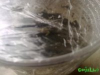 14072015332.jpg