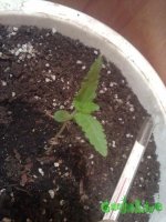 20072015349.jpg 20072015349.jpg