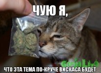 apN77Gl3-Nk.jpg