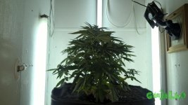 zG72Q-LCQcI.jpg