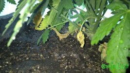 8_F6tD3-Oc8.jpg