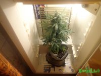 DSC00004.JPG