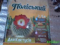 IMG_20150724_100629.jpg