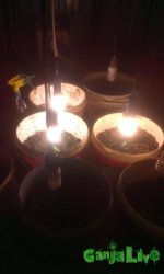 IMAG0605.jpg