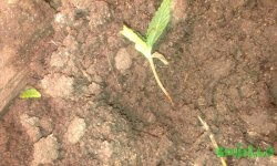 IMAG0608.jpg