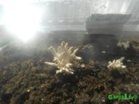 DSCN3559.JPG