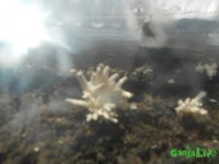 DSCN3560.JPG