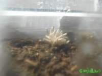 DSCN3561.JPG