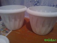 WP_001951.jpg