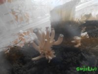 DSCN3569.JPG