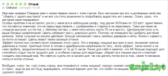 Безымянный.png
