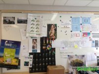 IMG_8258.JPG IMG_8258.JPG