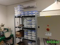 IMG_8279.JPG IMG_8279.JPG