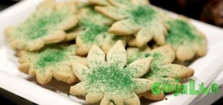 colorado-edible-marijuana.jpg