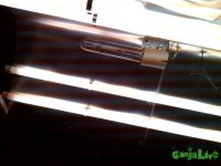 IMG_20150803_184759.jpg