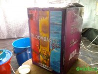 IMG_20150803_185448.jpg