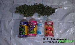 IMAG0414.jpg