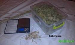 IMAG0447.jpg
