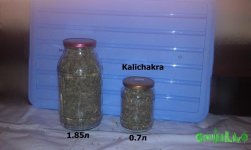 IMAG0448.jpg