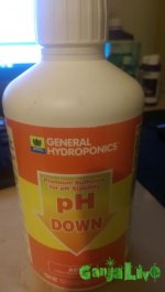 ph-min.jpg