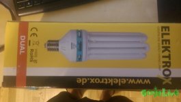 IMAG0182-min.jpg