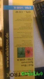 IMAG0183-min.jpg