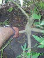 20150808_134348.jpg