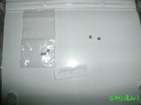 GEDC0630.JPG