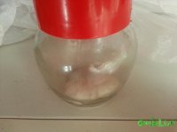 20150810_1723441.jpg