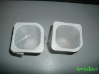 GEDC0646.JPG
