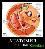 id8cntp7y2i0.jpg