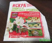 10 авг IMG_9447.jpg