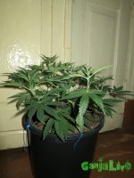 IMG_1492.JPG