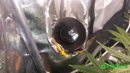 IMAG0193-min.jpg