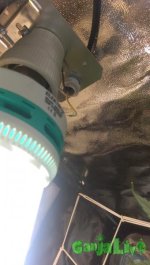 IMAG0199-min.jpg