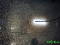 IMG_0427.JPG